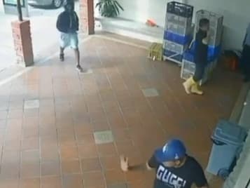 Avanza la investigación por el asesinato de Mario Pineida: Dos extranjeros detenidos.